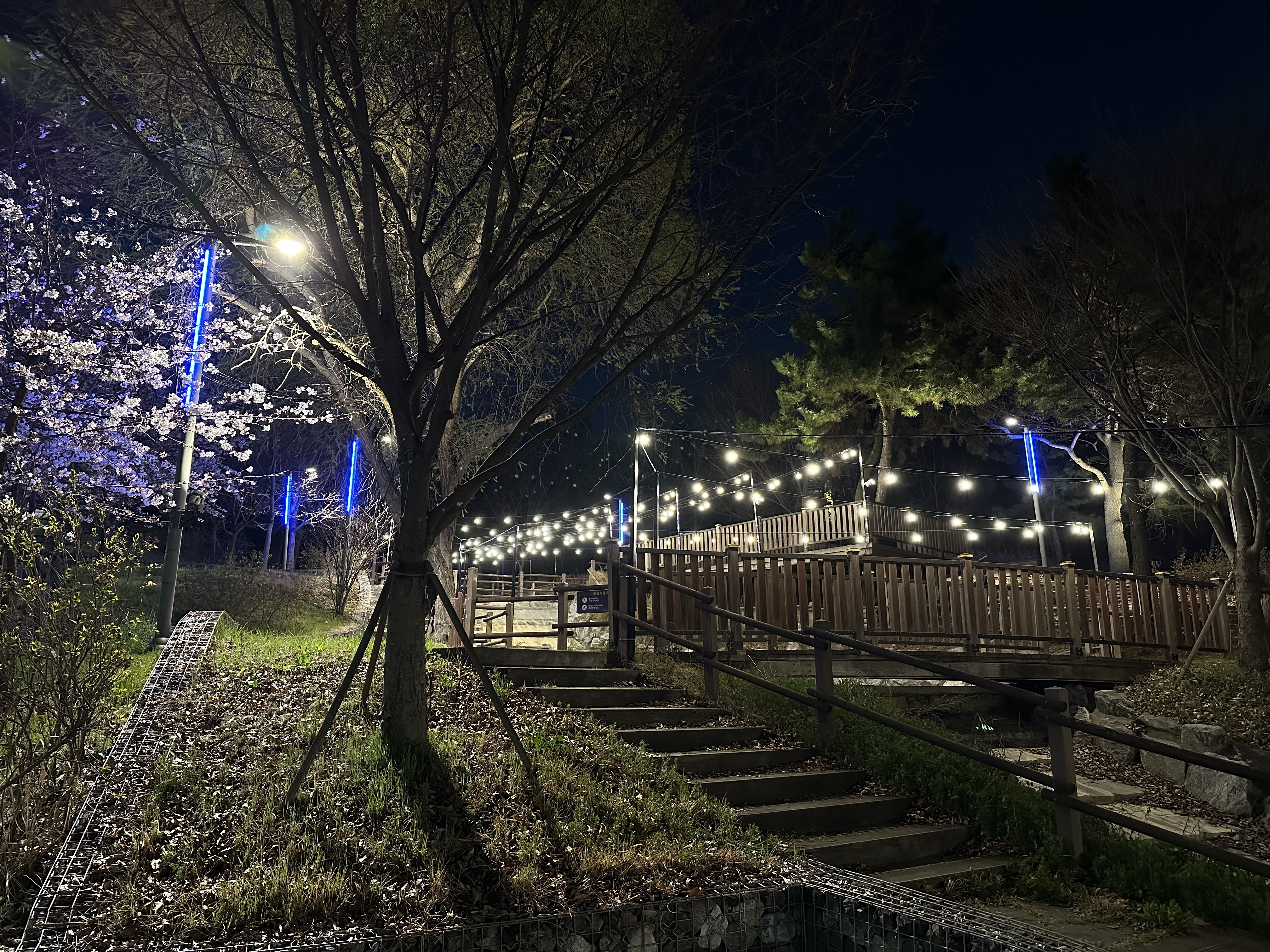 연수구는 오는 7월 9일부터 8월 31일까지 문화공원을 포함한 지역 내 5곳의 물놀이장을 무료로 운영한다
